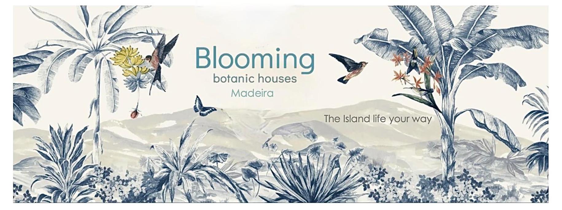 Blooming Botanic Houses Estreito Da Calheta Zewnętrze zdjęcie