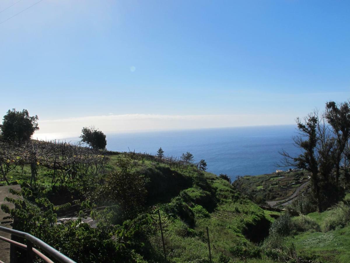 Blooming Botanic Houses Estreito Da Calheta Zewnętrze zdjęcie