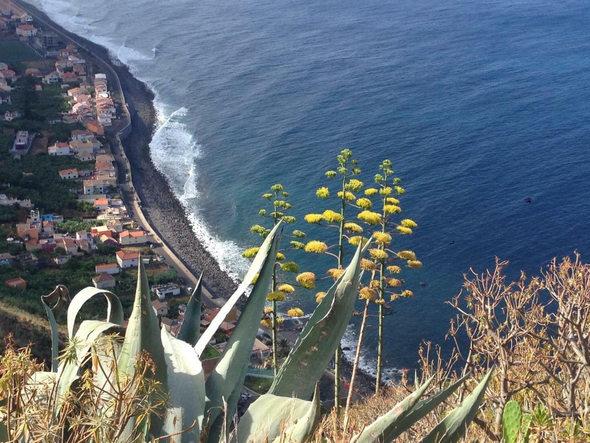 Blooming Botanic Houses Estreito Da Calheta Zewnętrze zdjęcie