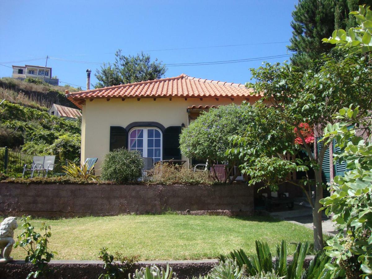 Blooming Botanic Houses Estreito Da Calheta Zewnętrze zdjęcie